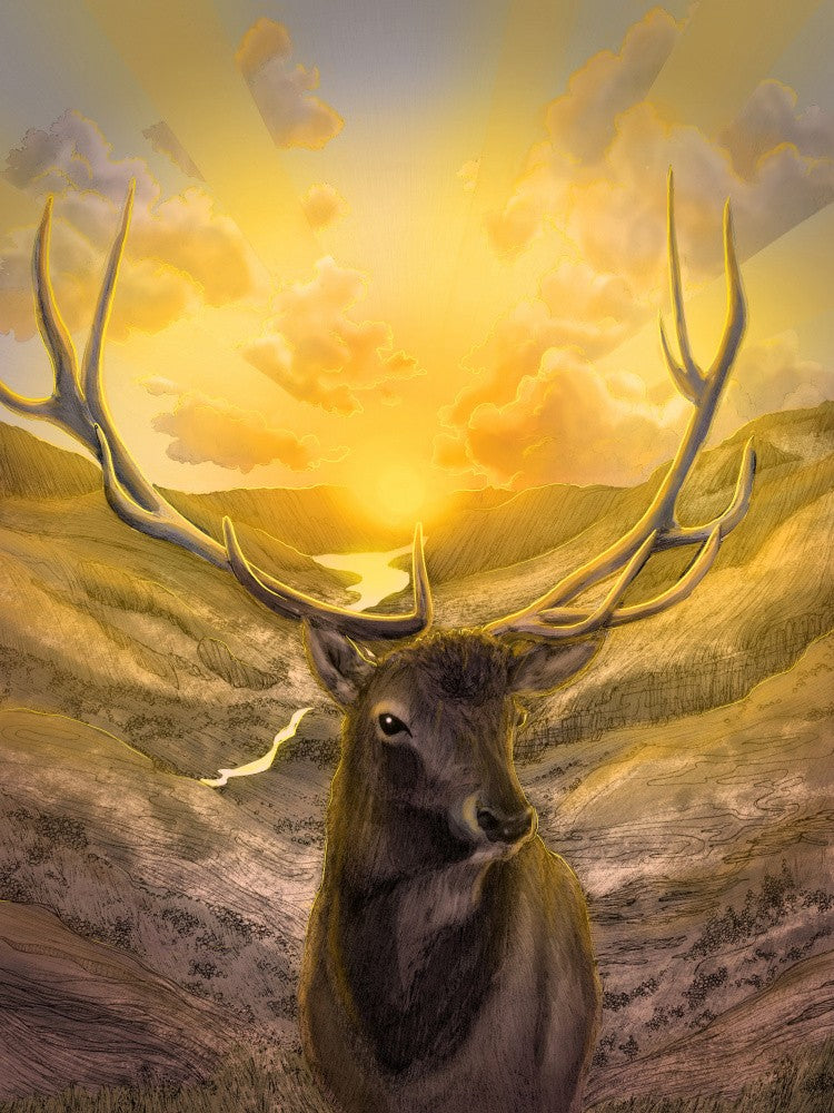 Rise With the Sun Colour Large