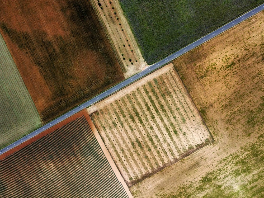 Fields of Provence