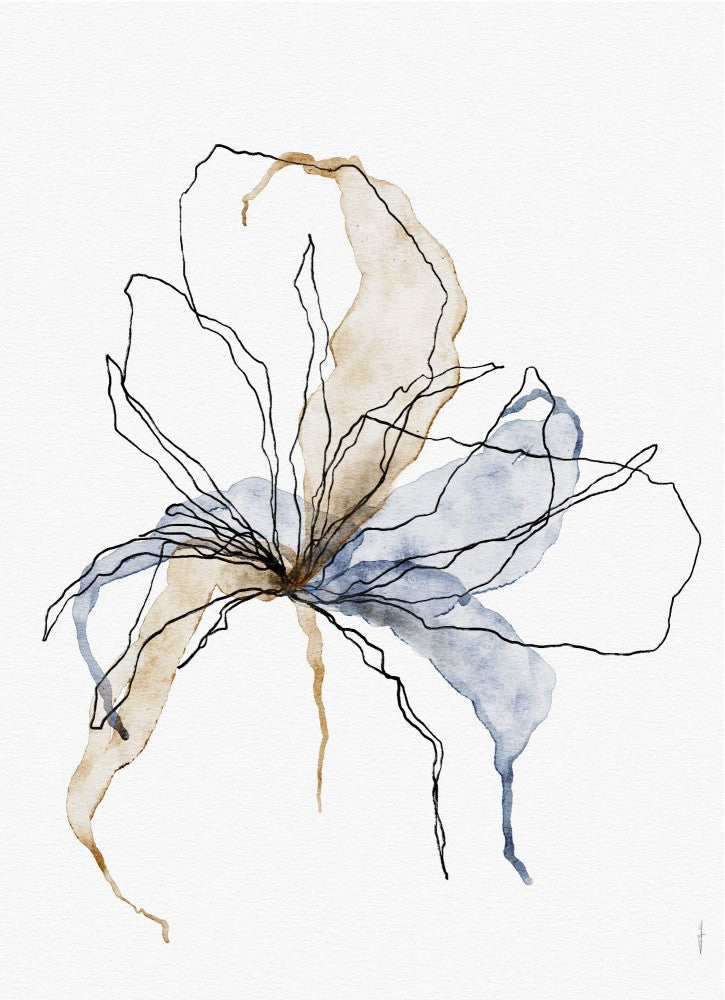 Petals in the Wind