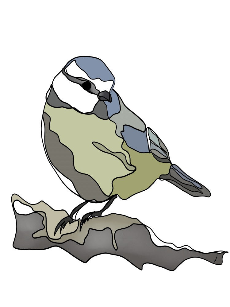Pastel Songbird