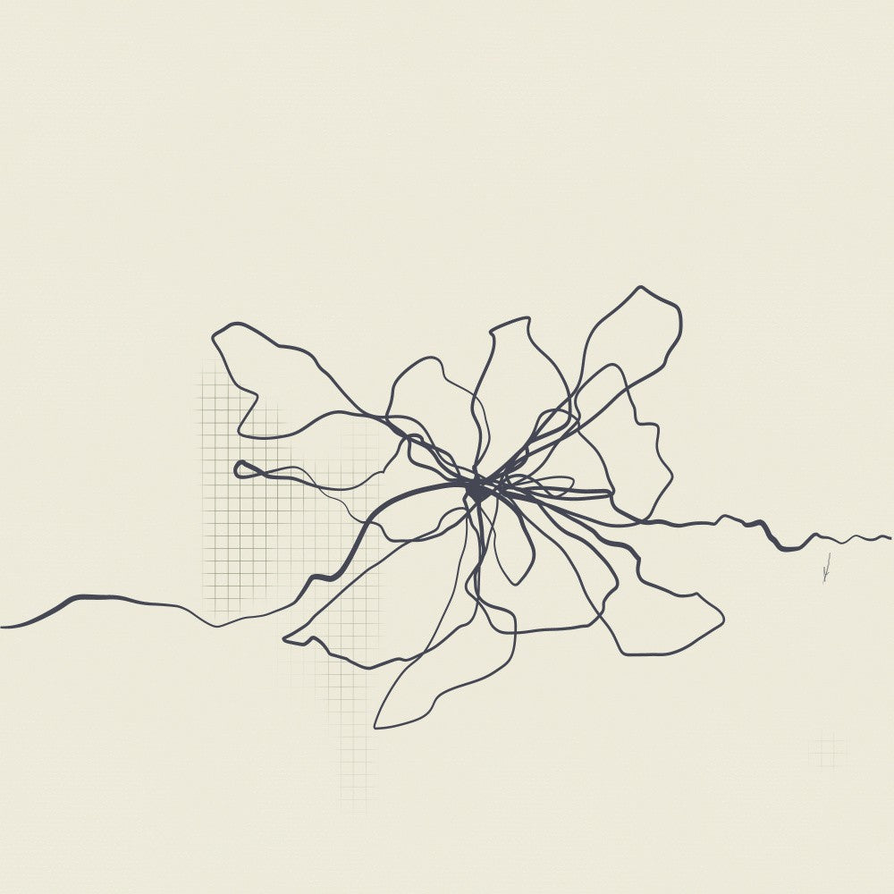 Linear Blossom Flow