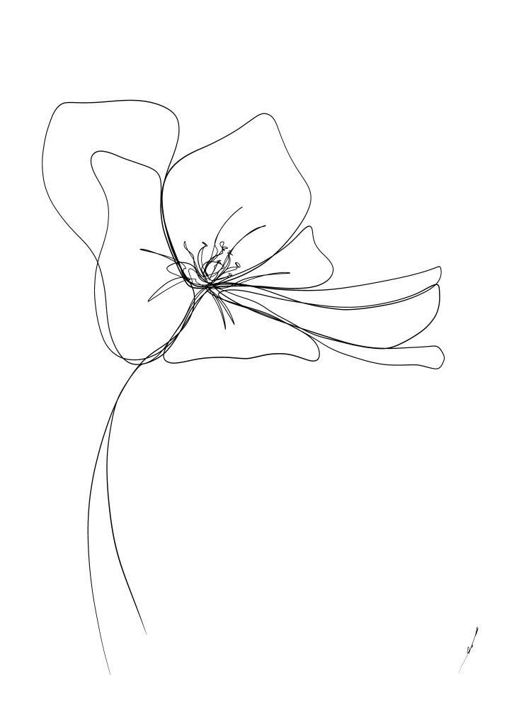 Whimsical Bloom