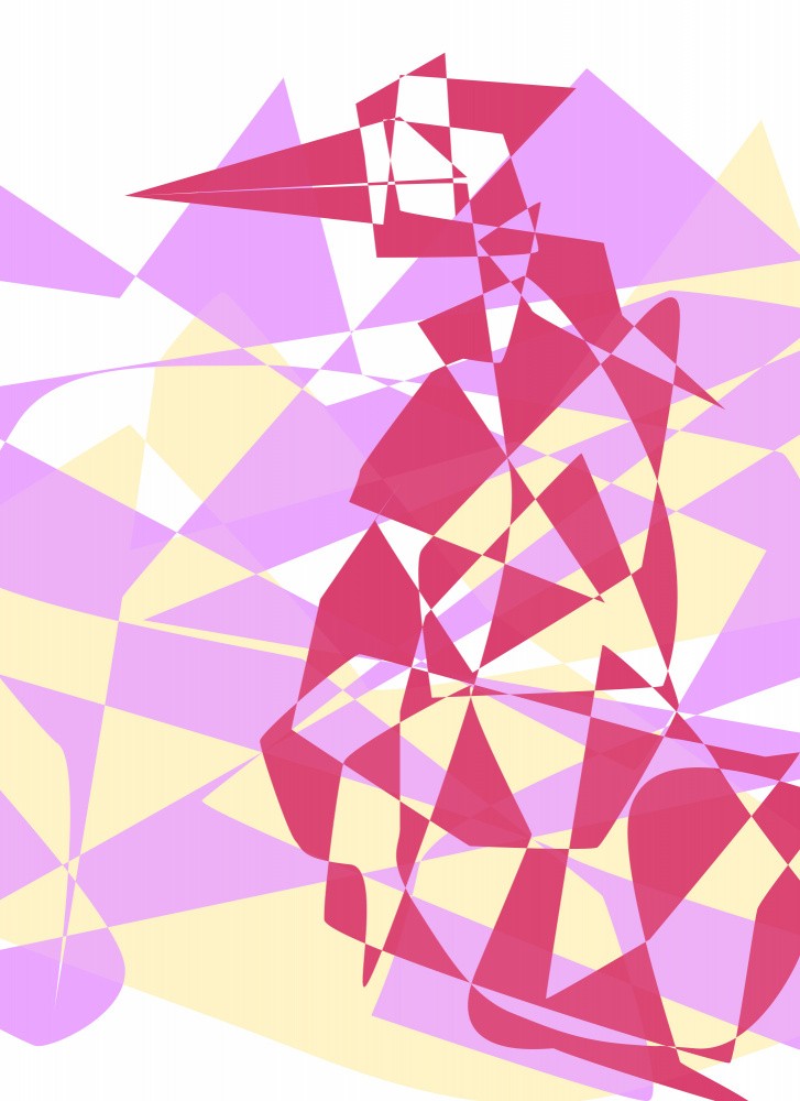 Geometric Bird Forms