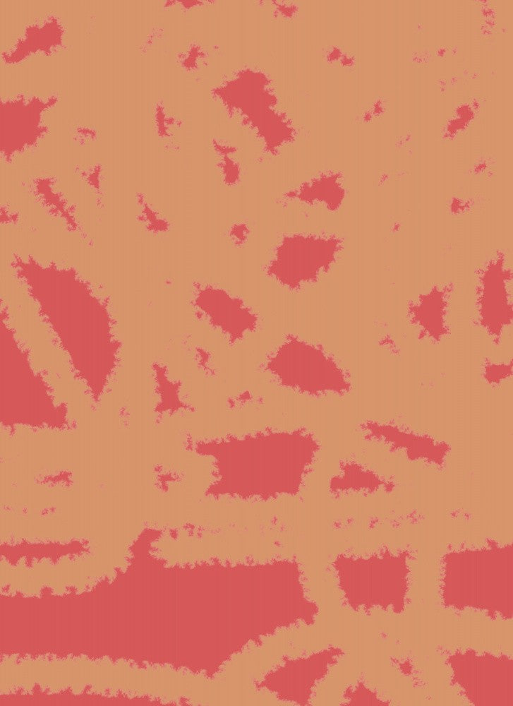 Red Coral Patterns