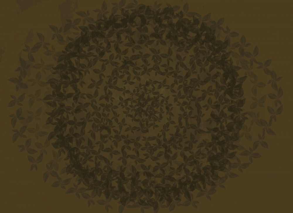Leafy Spiral Burst