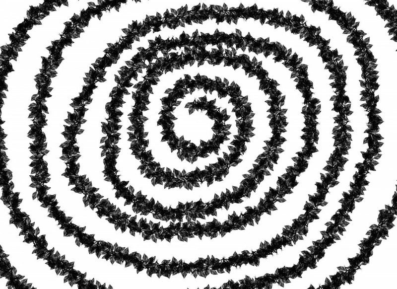 Bat Spiral Symphony