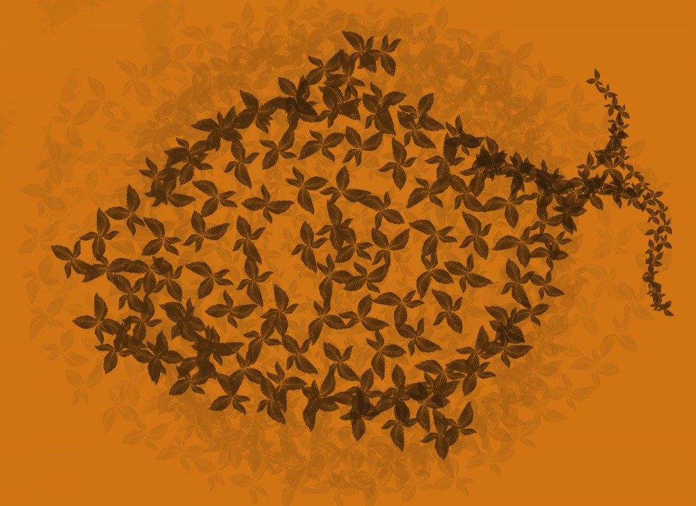Floral Harmony
