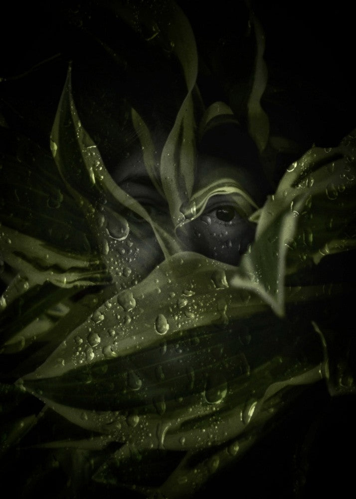 Naiad
