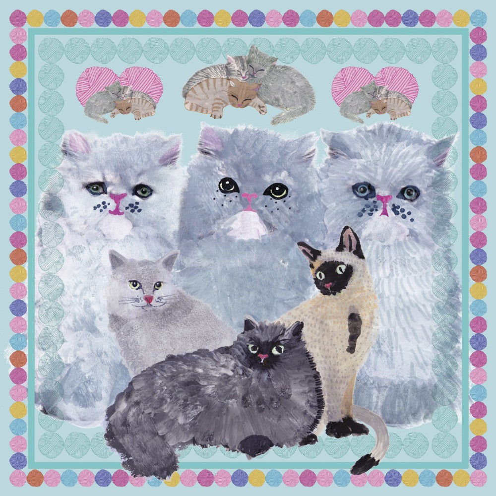 Kitties