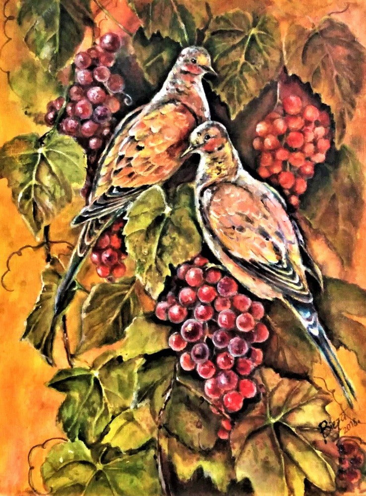 Forest Pigeons