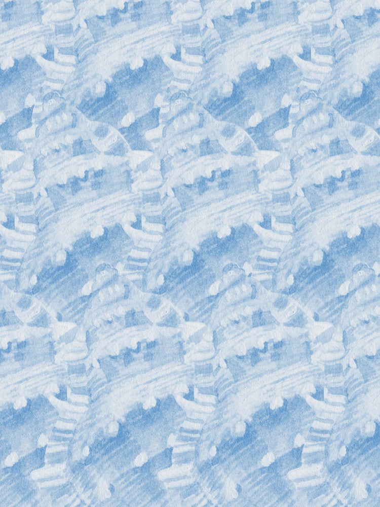 Conch Shells
