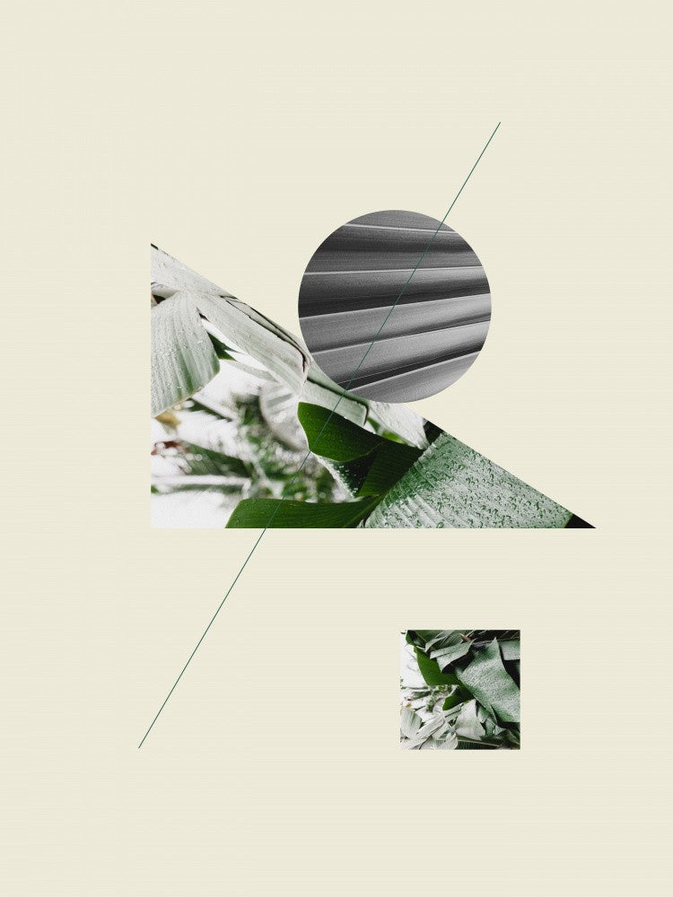 Tropical Geometry No 2