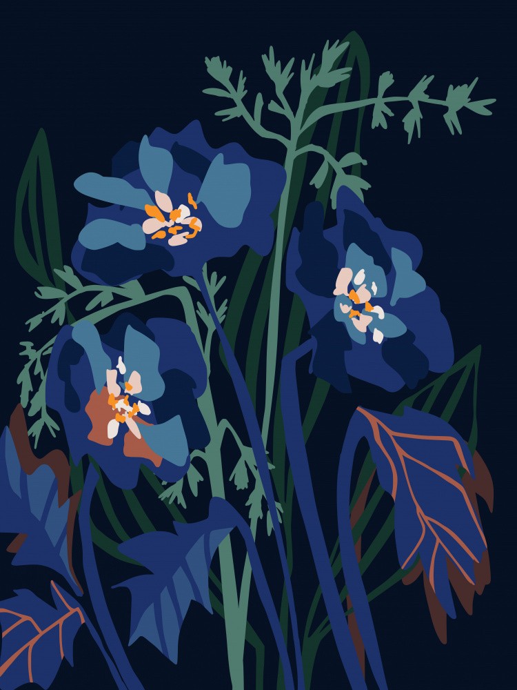 Wild Flowers Dark Midnight
