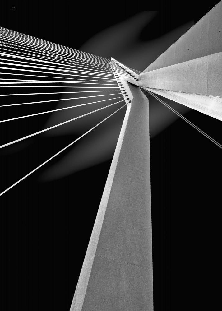 Erasmus Bridge Rotterdam