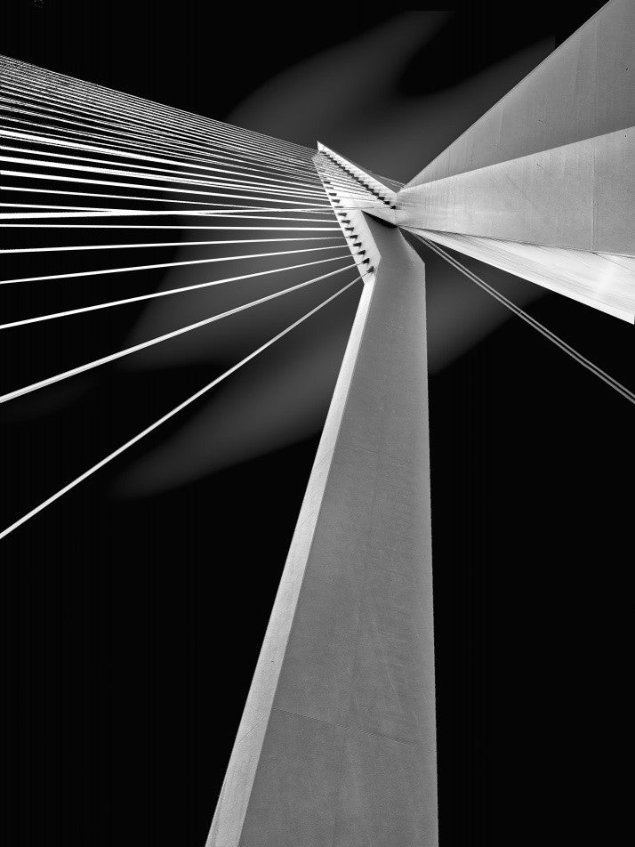 Erasmus Bridge Rotterdam