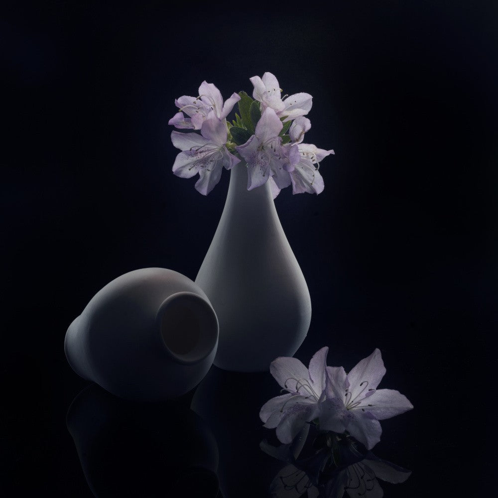 Flowers in the light