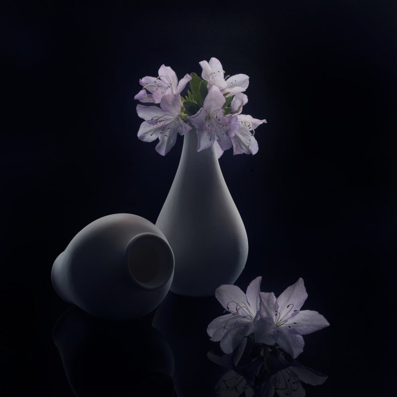 Flowers in the light