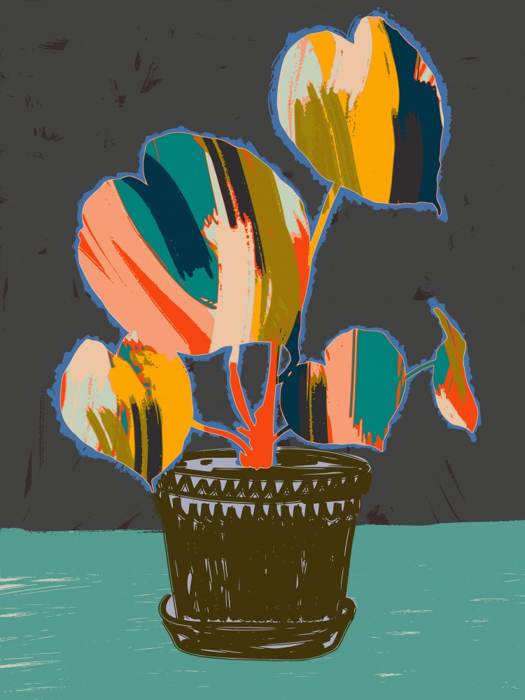 Colorful Plant Pot