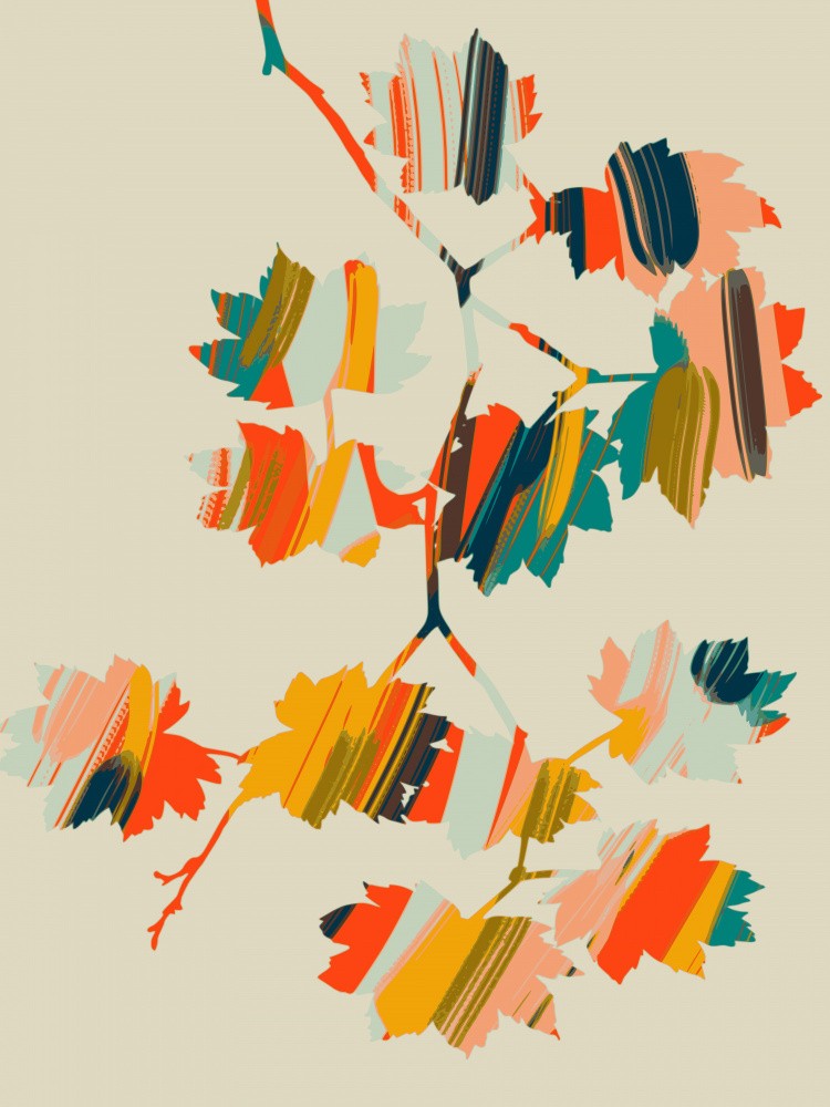 Colorful Hanging Maple Leaves