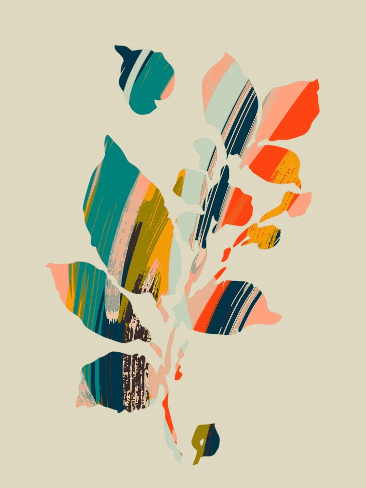 Colorful Poplar Tree Leaf
