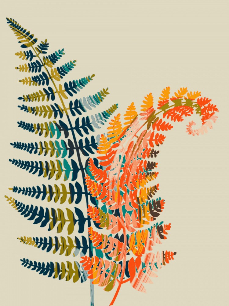 Colorful Fern Leaves