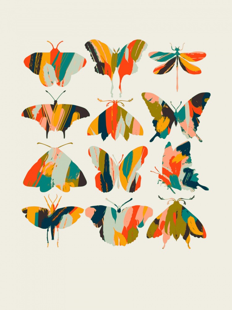 Colorful Butterflies