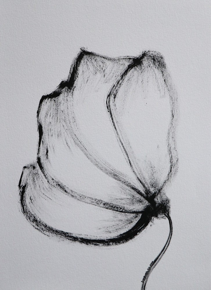 Charcoal Blossom