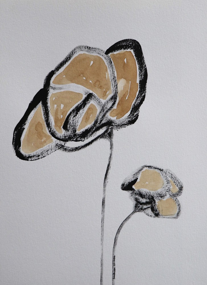 Petal Silhouettes