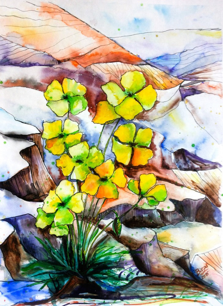 The Mountains Are Blooming