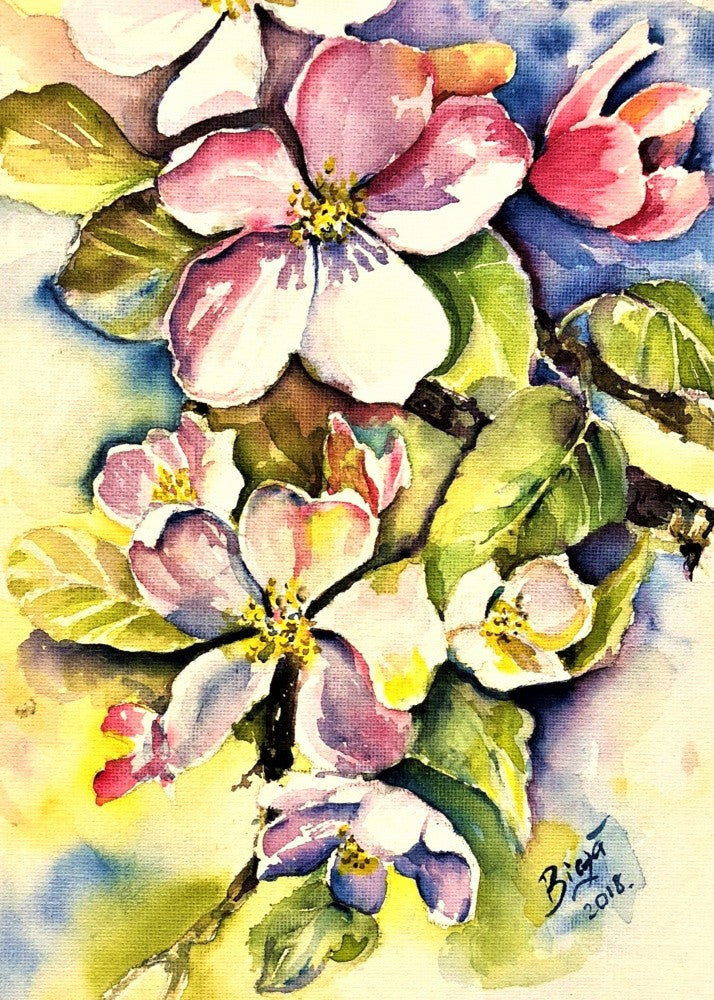 Apple Blossom