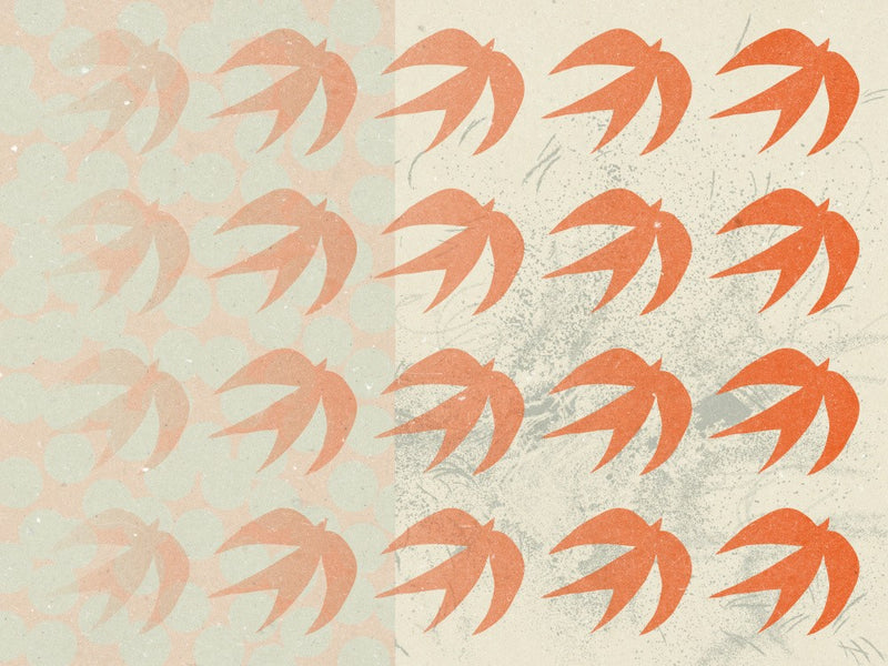 Abstract Composition 1