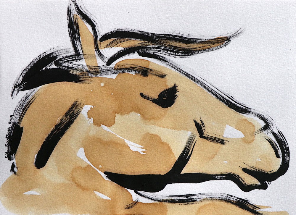 Strokes of Equine