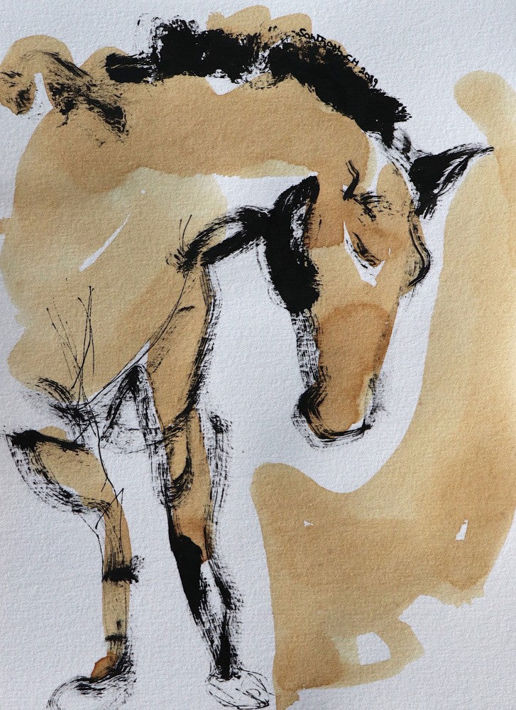 Gentle Equine Flow