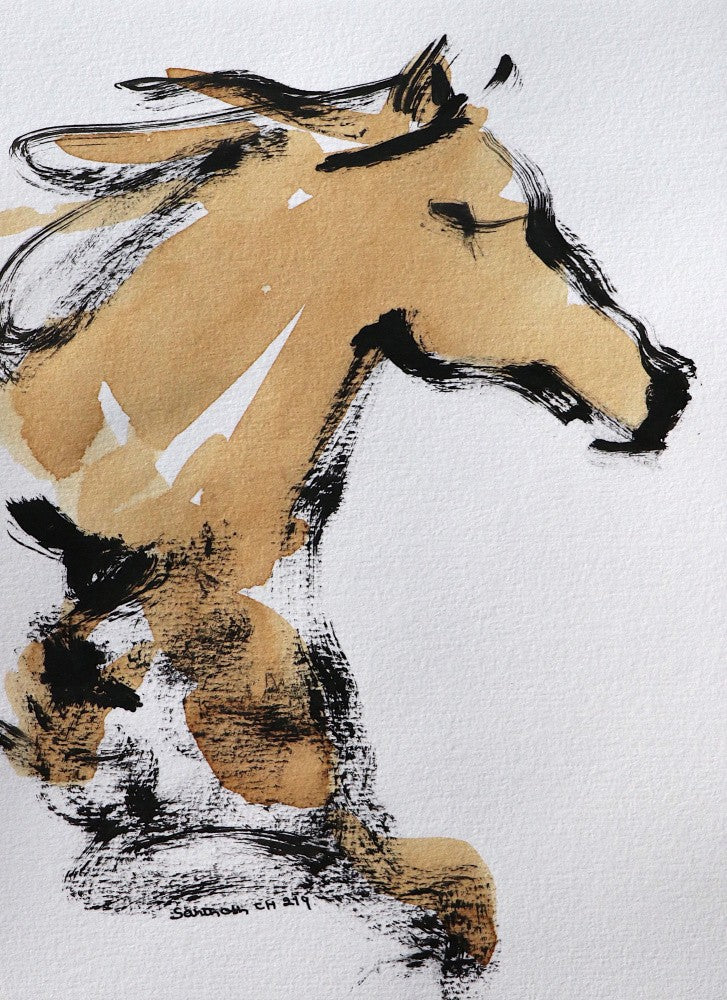 Equine Elegance