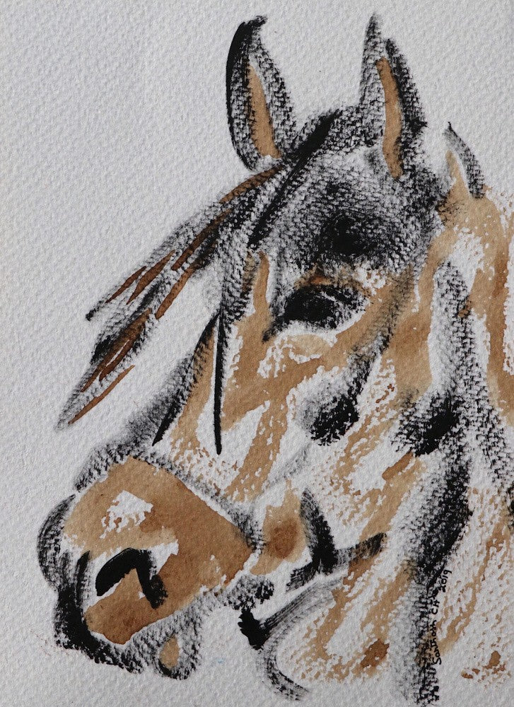 Majestic Equine Gaze
