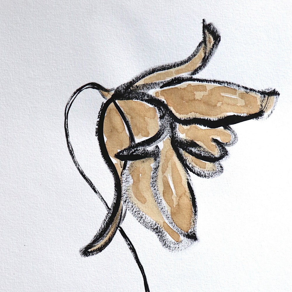 Faded Blossom Sketch