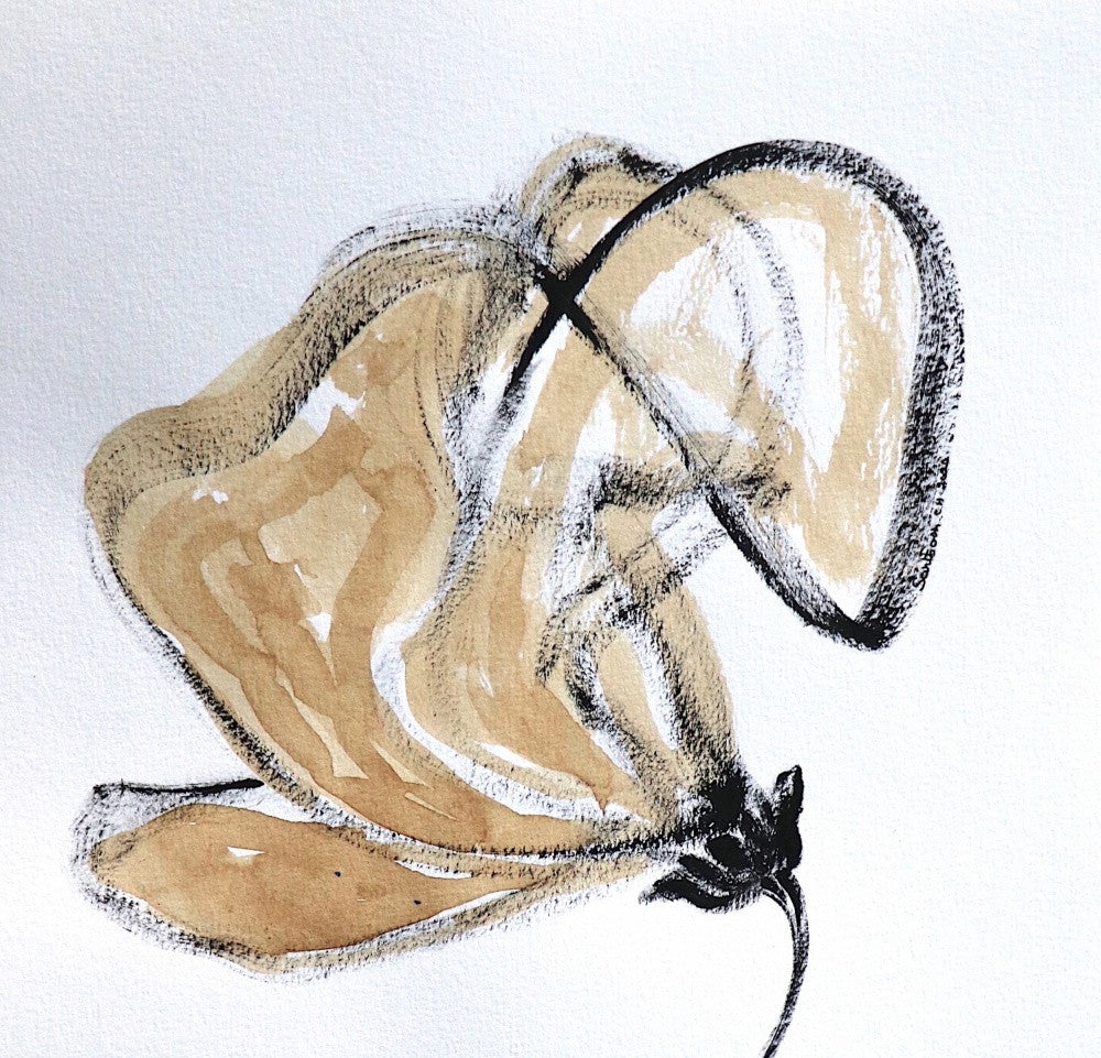 Flowing Petal Lines