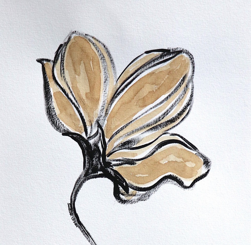 Petals in Motion