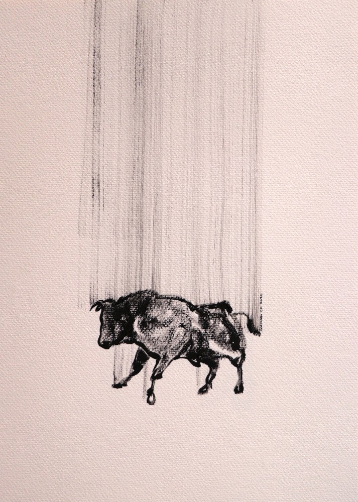Falling Motion
