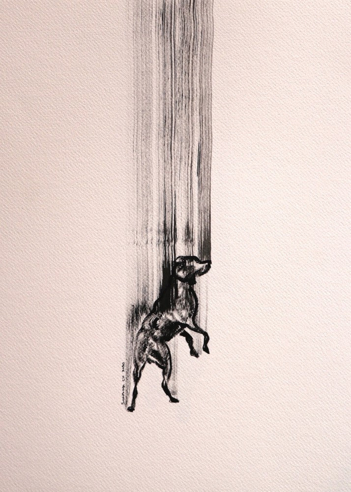 Canine Ascendance