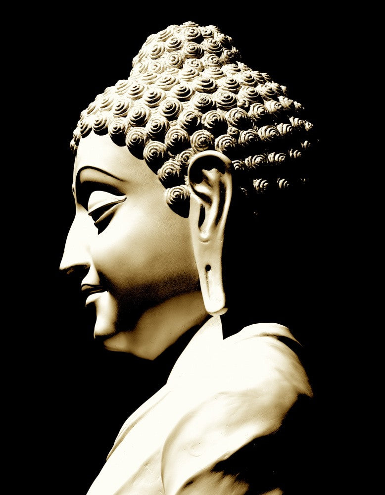 Serene Enlightenment