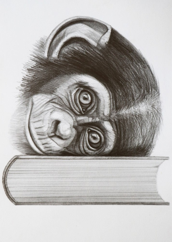 Contemplative Ape