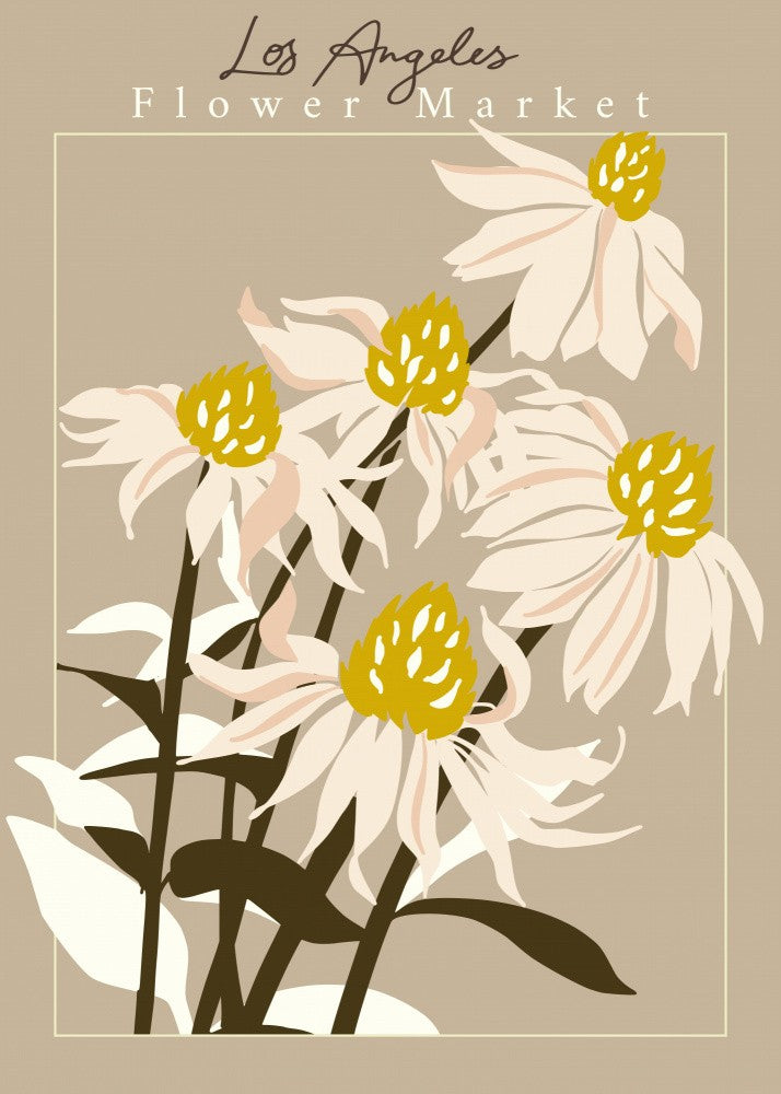 Flower Market Los Angeles Echinacea