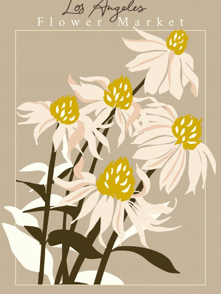 Flower Market Los Angeles Echinacea