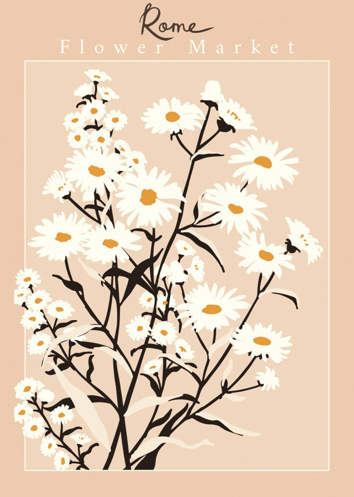 Marché aux fleurs Rome - Aster