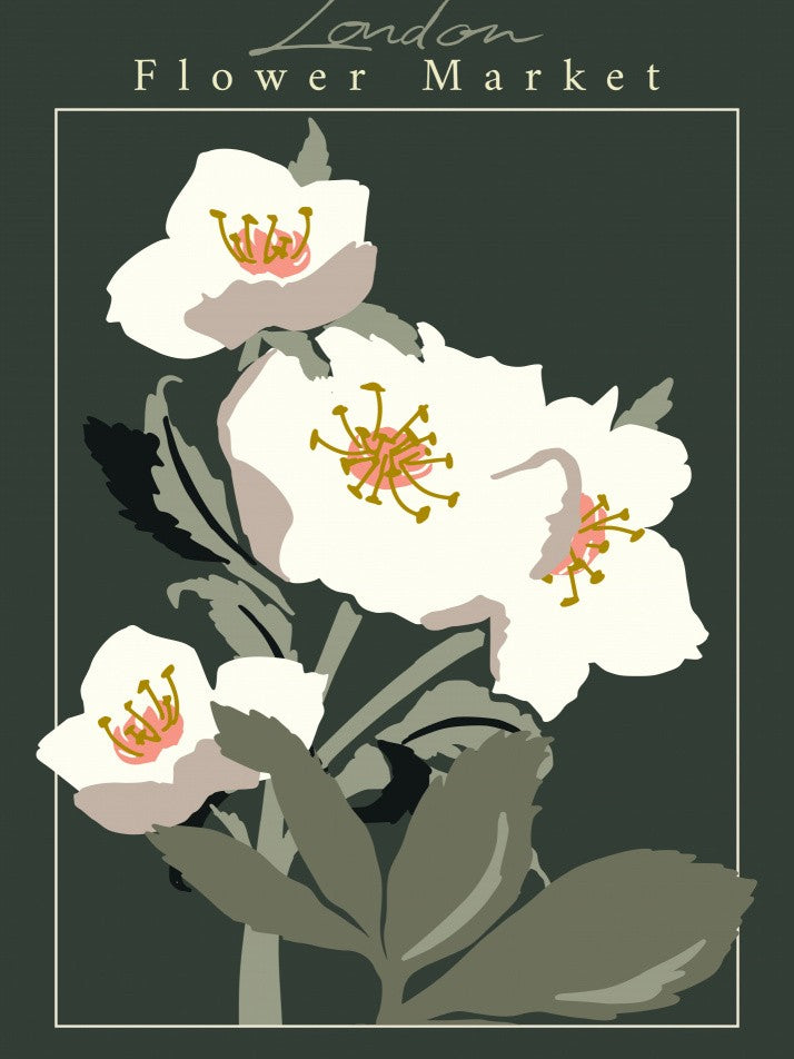 Flower Market London Hellebore