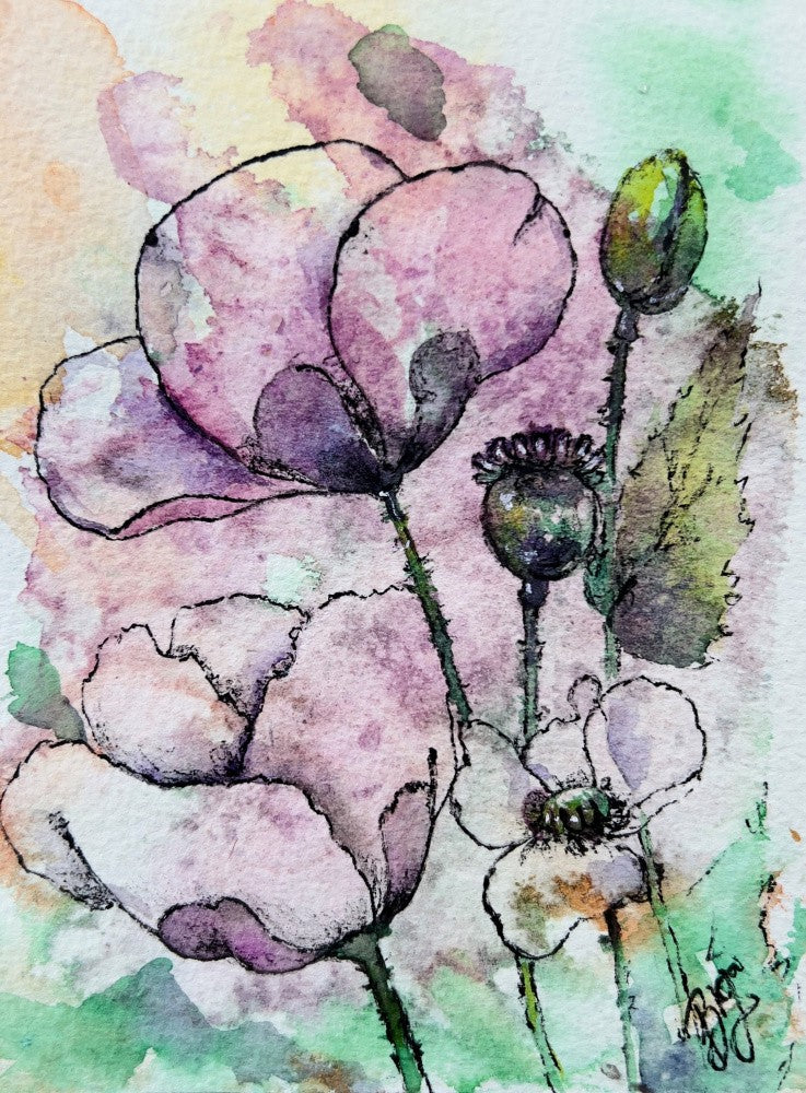Purple Poppy
