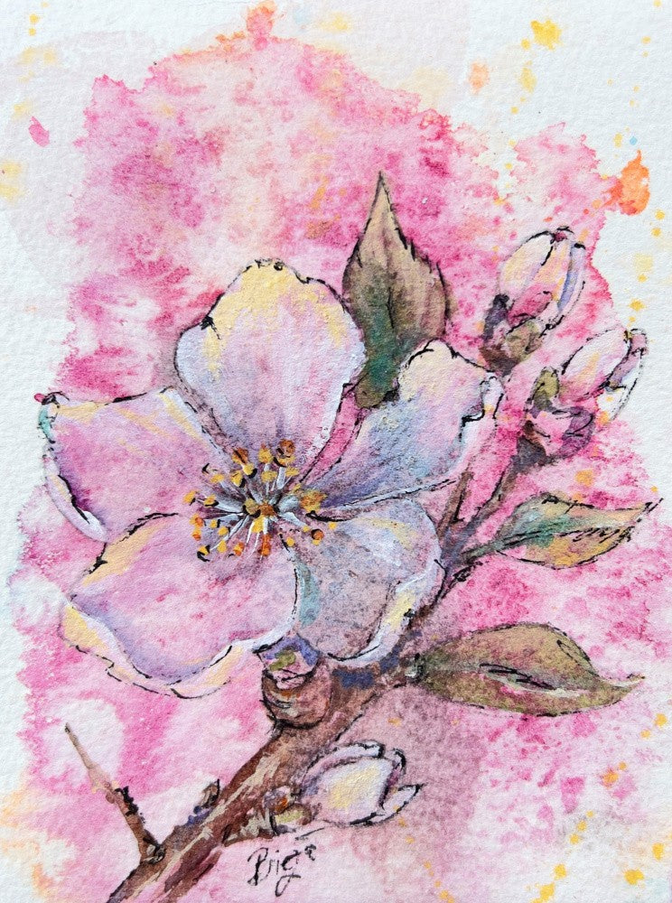 Spring Garden