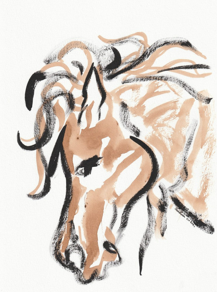 Brushstroke Stallion