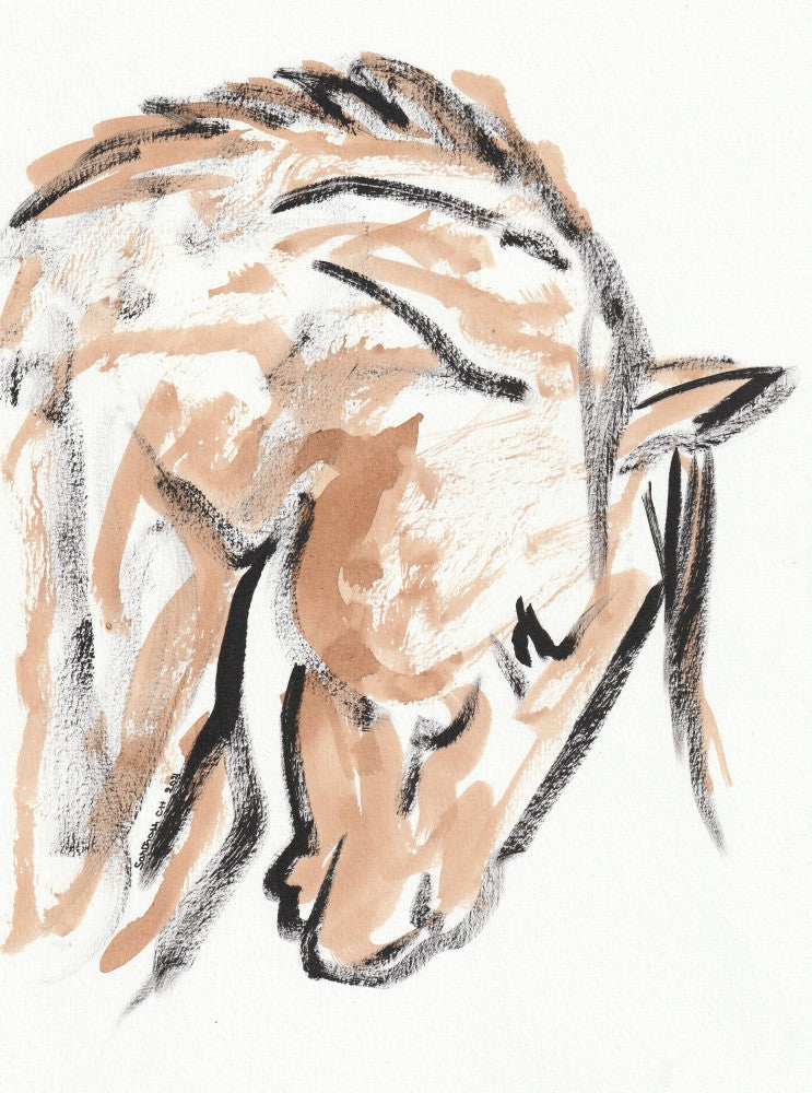 Gentle Equine Sketch